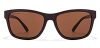 Fastrack Men’s Square Sunglasses Brown Frame, Brown Lens -Pack of 1
