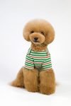 A+a Pets’ Soft Cotton T-Shirts for Dogs, Puppies & Cats (XL, Green)