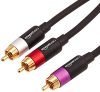 Amazon Basics 8 Feet 1/2-Male to 2-Male RCA Audio Interconnects for Television, DVD Player (Black, Silver, Red, Purple)