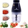Homeberg Turbo Electric Vegetable Chopper -300W with Variable Speed and Pure Copper Motor, Dual Layered SS Blades, 700ml Capacity for Meat, Vegetable, Fruit, Baby Food, Nuts, Garlic,Onion (HC300) With One Year Warranty
