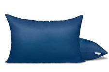 THE WOOD WHITE Premium Microfiber Soft Pillow Set of 2. 16 x 24 Inches or 41 x 61 cm. Sleep Better with Blue Pillows