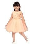 Aarika Girl’s net a-line Knee-Long Dress (FK-24314_Peach_4-5 Y)