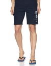 U.S. POLO ASSN. Men Regular Shorts(I668-195-PL-L_NAVY_L)