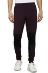 Allen Solly Men’s Regular Sweatpants (AYLJCURGFD20293_Purple