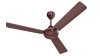 Bajaj Robusta 12S1 1200Mm Base Brown Ceiling Fan