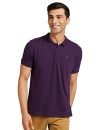 Van Heusen Men’s Regular Fit Polo T-Shirt (VSKPWRGF981010_Purple XL)