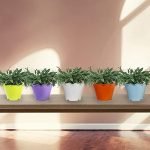 Trustbasket Jasmine Flower Pot (Set Of 5