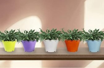 Trustbasket Jasmine Flower Pot (Set Of 5
