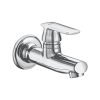 Cera Titanium F1003151 Stainless Steel Single Lever Bib Cock With Wall Flange And Aerator (Silver)
