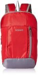 Amazon Brand – Solimo Hiking Day Backpack, 10L, Red