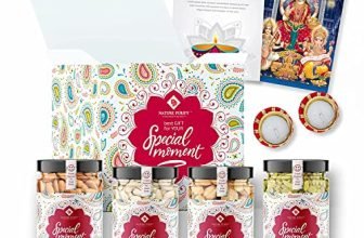 Nature Purify Dry Fruit Combo Pack 400G (Almond, Cashew, Kishmish, Apricot 100G Each) Festival Gift Hamper, Healthy Snacks, Corporate Order