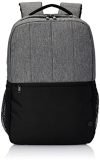 Hp 320 15.6-Inch Backpacks/Trolley Pass-Through; Padded Back Panel; Padded Air Mesh Panel/Hand Wash And Air Dry/Padded Laptop Pocket/1 Year Limited Warranty (793A6Aa)