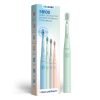 ORACURA® Sonic Lite Electric Battery Operated Toothbrush SB100 Green| 1 Year Warranty | 4 Vibrant Colors | 3 Modes | 36,000 Strokes | IPX7 Waterproof | 2 Minute Auto-Timer | Dupont Bristles