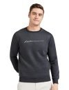 Qube By Fort Collins Men’s Fleece Round Neck Sweatshirt (929241 SMU_Anthra_L)