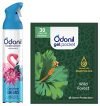 Odonil Combo Pack – Air Freshener Spray + Gel Pocket | Carribean Dreams & Wild Forest