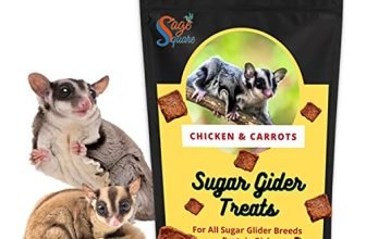 Sage Square Chicken & Carrot Sugar Glider Treat, Crunchy Protein Rich Snack (45G)