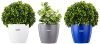 Amazon Brand – Solimo Round Planter, Set of 3 (White, Blue, Grey)