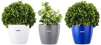 Amazon Brand – Solimo Round Planter, Set of 3 (White, Blue, Grey)
