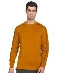 Red Tape Men’s Cotton Round Neck Sweater (RFW0089-L_Mustard_L)
