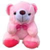 Jungle Joy, Small Teddy Bear for Girls, Pink Teddy,Soft Toy, Animal Plush (30 cm)