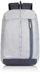 AmazonBasics – Mini Backpack for Outdoor Use (12 l) (Metallic Grey)