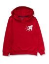 Amazon Brand – Jam & Honey Boy’s Cotton, Polyester Hooded Lightweight Regular Fit Sweatshirt (Jhaw19Bswt921Z_Red_4-5 Years
