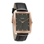 Sonata Light Champagne Dial Analog watch For Men-NP7143WL01