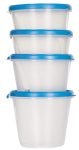 Cutting EDGE SuperSturdy Eco Plastic Container Set, 4-Pieces (1000ml, 750ml, 2X500ml), Air Tight Plastic Food Container Kitchen Storage Set, Spices Keeper (Blue, SET OF 4)
