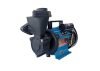 Lakshmi 0.5 HP Self Priming Mono Block Water Pump (Multicolour)