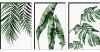 Saf Set Of 3 Preety Green Leaf Modern Art Mdf Self Adhessive Uv Textured Painting 27 Inch X 12 Inch(Each Painting Size 12 Inch X 9 Inch) Phc30197