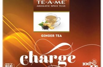Te-A-Me Ginger Tea Bags 100 Pieces | Energize Your Day Naturally With Strong Flavourful Adrak Chai | Black Tea With Ginger | Antioxidant-Rich Zesty Adrak Tea