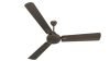 Polycab Vital Plus 1200 Mm 1 Star Rating High Speed Ceiling Fan (Jaco Bean)