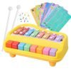 Toy Imagine™ 2 in 1 Multicolor 8 Key in Clear & Crisp Tones|Piano & Xylophone .NonToxic,Non-Battery,Educational Musical Instruments Toyset for Kids,Toddlers,Boys & Girls with 2 Mallets