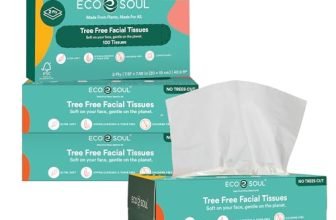 ECO SOUL [2 Ply, 100 Pulls] Tree-Free Paper Facial Tissue | Pack of 1 (100 Pulls Per Pack) | Ultrasoft & Highly Absorbent | Eco Friendly, Natural, Biodegradable | Everyday Facial Tissue