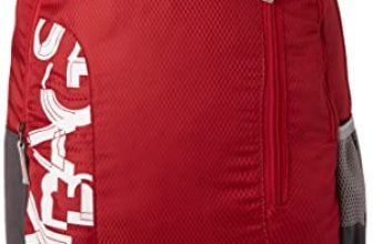 Skybags Brat Wine Red 46 Cms Casual Standard Backpack, 28 Lt