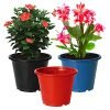 Kuber Industries Durable Plastic Flower Pot|Gamla for Indoor Home Decor & Outdoor Balcony,Garden,6″x5″,Pack of 3 (Black,Blue,Red)