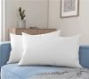 Wakewell Pillow, Set/Pack of 2 Microfibre Pillows, 61 x 41 cm, White (2 Pillows)