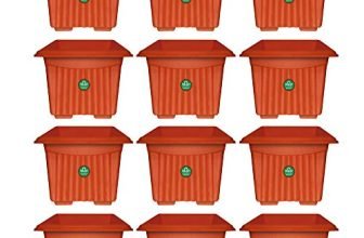 TrustBasket UV Treated Square Plastic Planter (6 inches) – Terracotta Color – Set of 12 | Heavy Duty Highly Durable Plant Container Gamla for Indoor Home Decor & Outdoor Balcony Garden