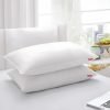 Zinnia Comfort Soft Microfiber Pillow | White | Standard size 45 x 70 CM | Pack of 2