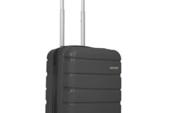 TEAKWOOD LEATHERS Unisex 8 Wheels Trolley Bag, Hard Cabin with Zipper Closure, Adjustable Push Button & Cross Side Strap, Lock System 360 Degree (55 CM, Dark Grey)