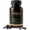 Pure Himalayan Shilajit – Infused with Ashwagandha & Hadjod – Ayurvedic Performance & Promotes Stamina – Supports Joint Health, Natural Iron & Immunity