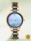 Titan Purple Ceramic Purple Ceramic Analog Watch  – For Women