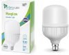 Syska 30 W Basic Standard B22 LED Bulb(White)