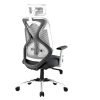 FABASIAN Ergonomic Mesh Office Chair with Adjustable Headrest, Breathable Back, Height Adjustable Seat, Armrests & 360° Swivel for Home & Office(Grey & White)