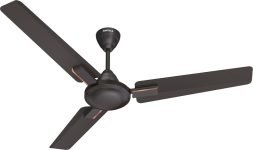 HAVELLS Ambrose Neo Ceiling Fan| High Speed, High Air Delivery| Strong & Powerful motor with 2 Year Warranty Anti Dust 1200 mm Ceiling Fan(Smoke Brown | Pack of 1)