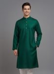 Tibra Collection Men Solid Straight Kurta(Dark Green)