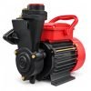 CRI GLAD PRO 100 Self-Priming Monoblock Pump | 1HP Water Pump | High Flow 4290 LPH | Suitable for Home, Garden, and RO Feed | Copper-Coated Windings