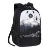 Gear Alpine 19″/39L Large Water Resistant School Bag/Casual 4 Compartment Backpack/Daypack/Travel 4 Compartment Backpack/Kids Bag for Boys/Girls (Black-Grey)