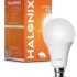 Halonix 25W Led Light Bulb | White (6500K) |Energy Efficient| 4Kv Surge Protection | High Lumens Per Watt | Pack Of 1