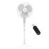 HAVELLS GHPDDABPPK00 Hair Dryer(1000 W, Peach)